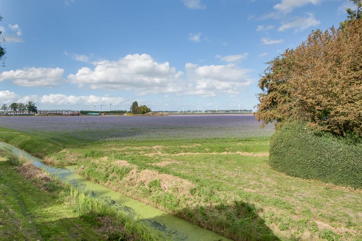 Foto 88 van Lieve Vrouwepoldersedijk 23