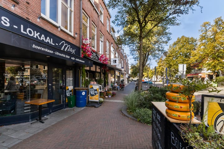 Foto 5 van Adriaen van Ostadelaan 63-B