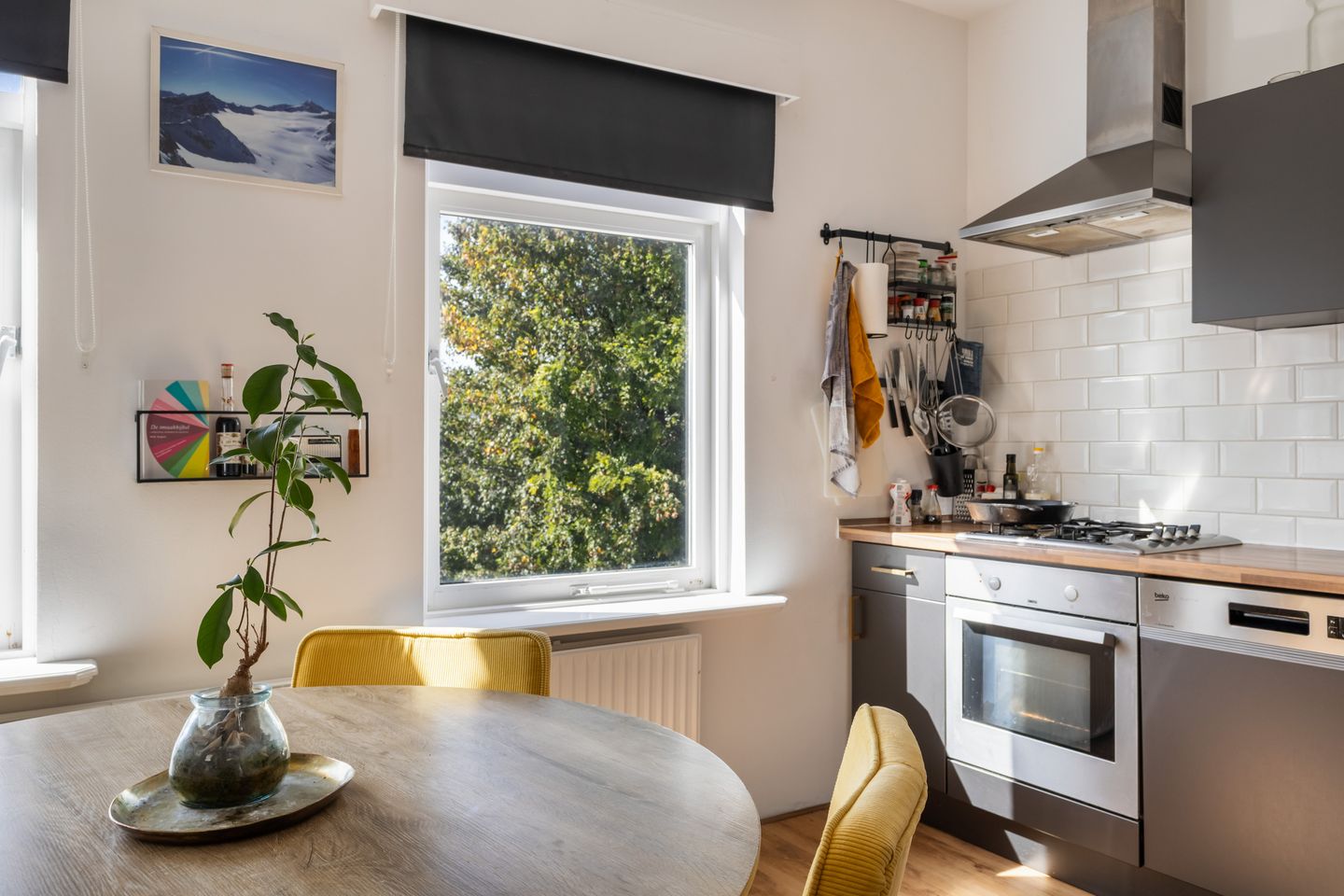 Foto 19 van Adriaen van Ostadelaan 63-B