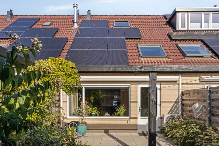 Foto 35 van Berkenschakel 35