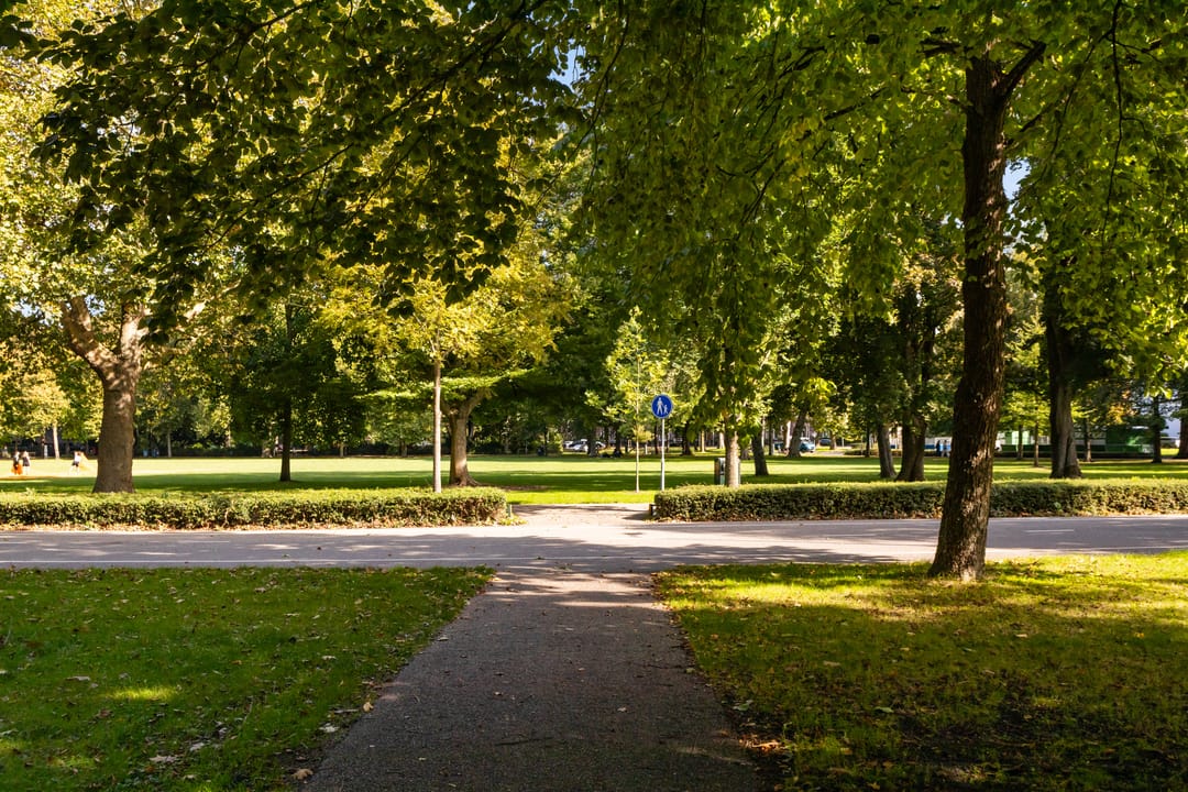 Foto 38 van Adriaen van Ostadelaan 63-B