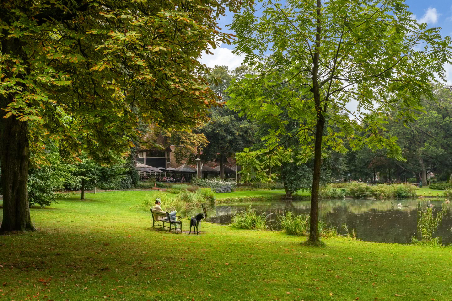 Foto 44 van Adriaen van Ostadelaan 63-B