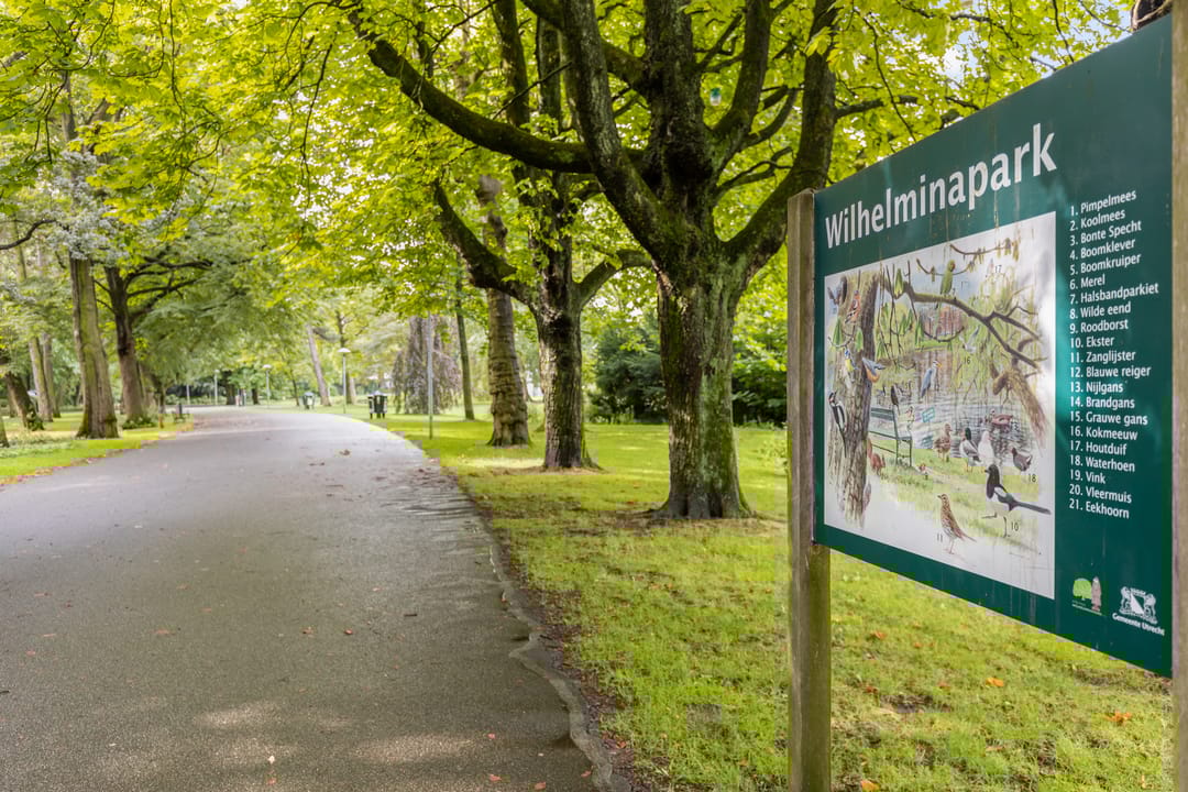 Foto 47 van Adriaen van Ostadelaan 63-B