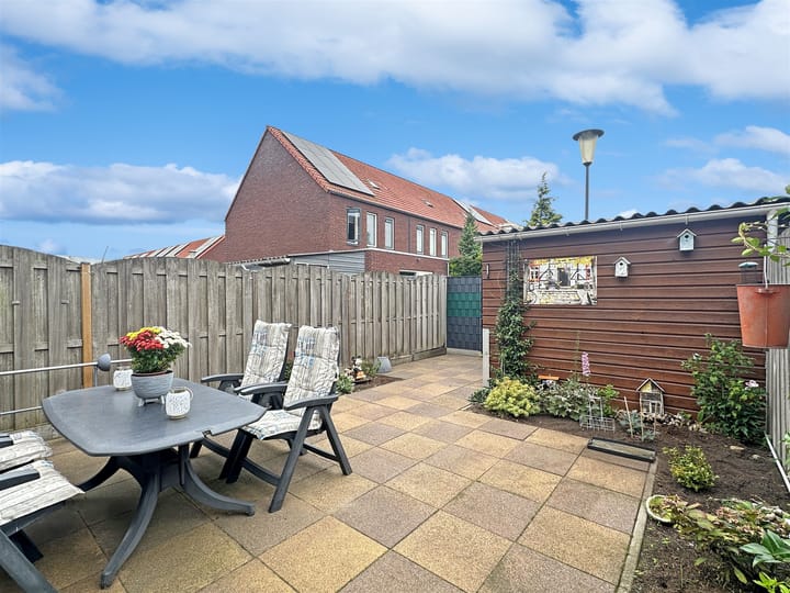 Foto 12 van Gele Ring 253