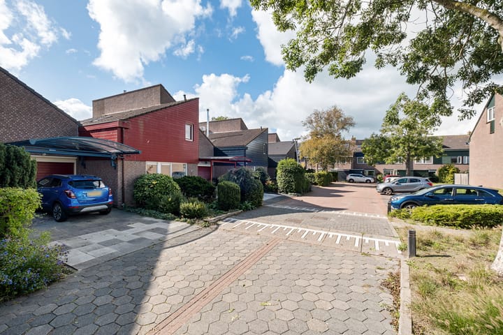 Foto 10 van Lameroen 46