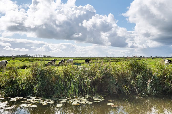 Foto 29 van Lameroen 46