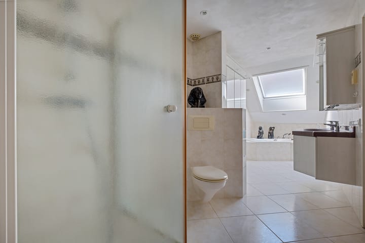 Foto 51 van Lameroen 46