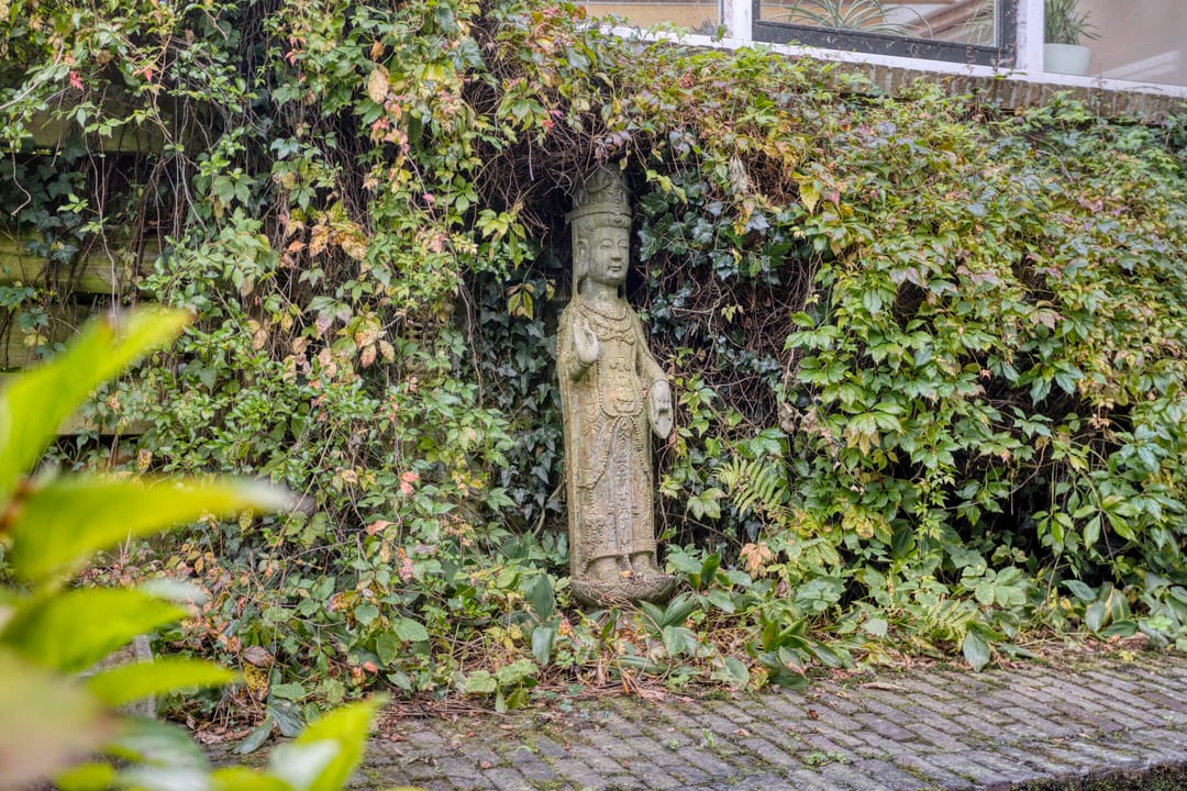 Foto 52 van Van Kolstraat 18