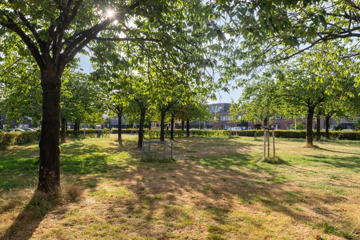 Foto 17 van Midwoldeplein 2