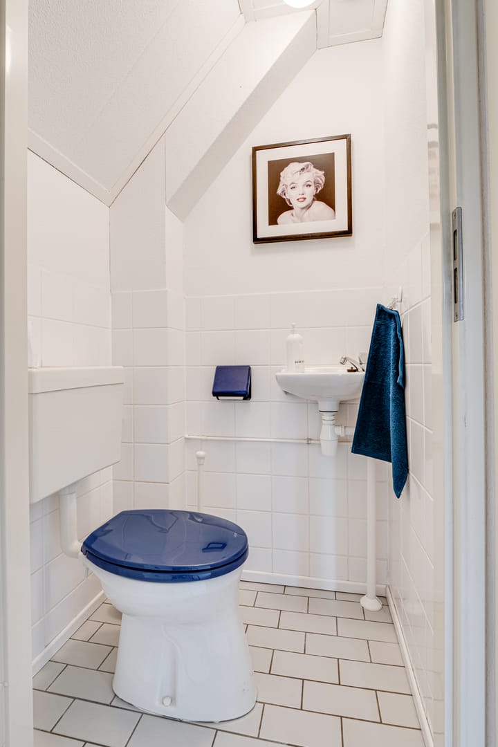 Photo 19 of Ribeslaan 53