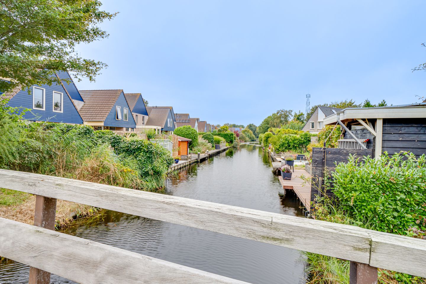 Foto 49 van Ribeslaan 53