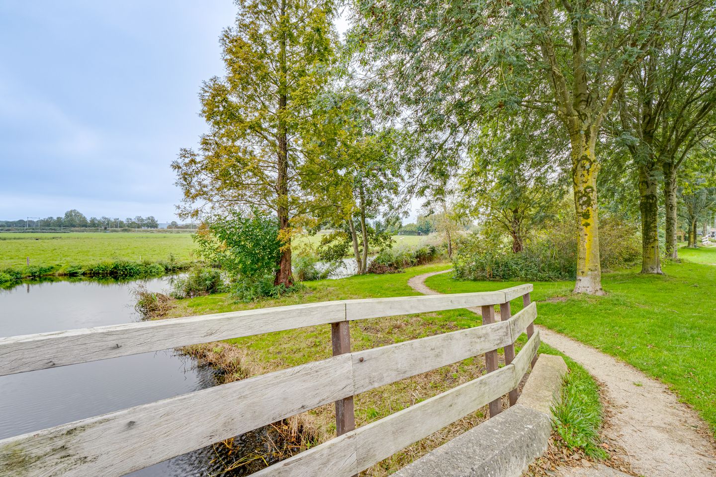 Foto 50 van Ribeslaan 53