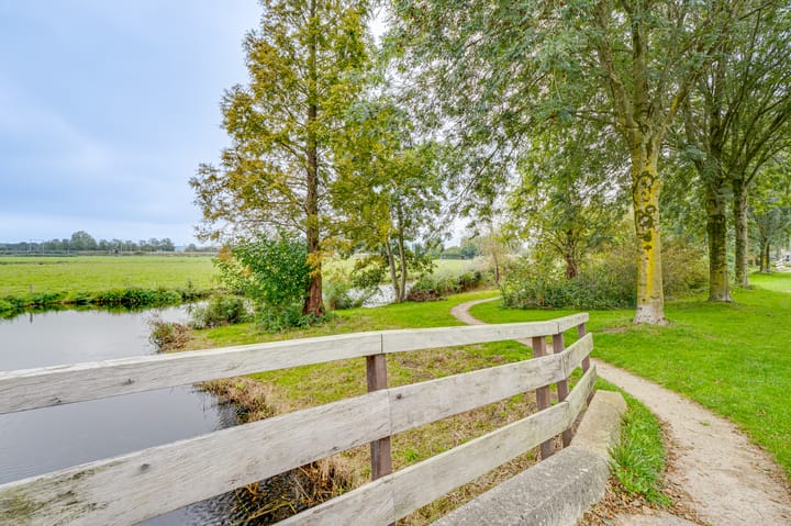 Photo 50 of Ribeslaan 53