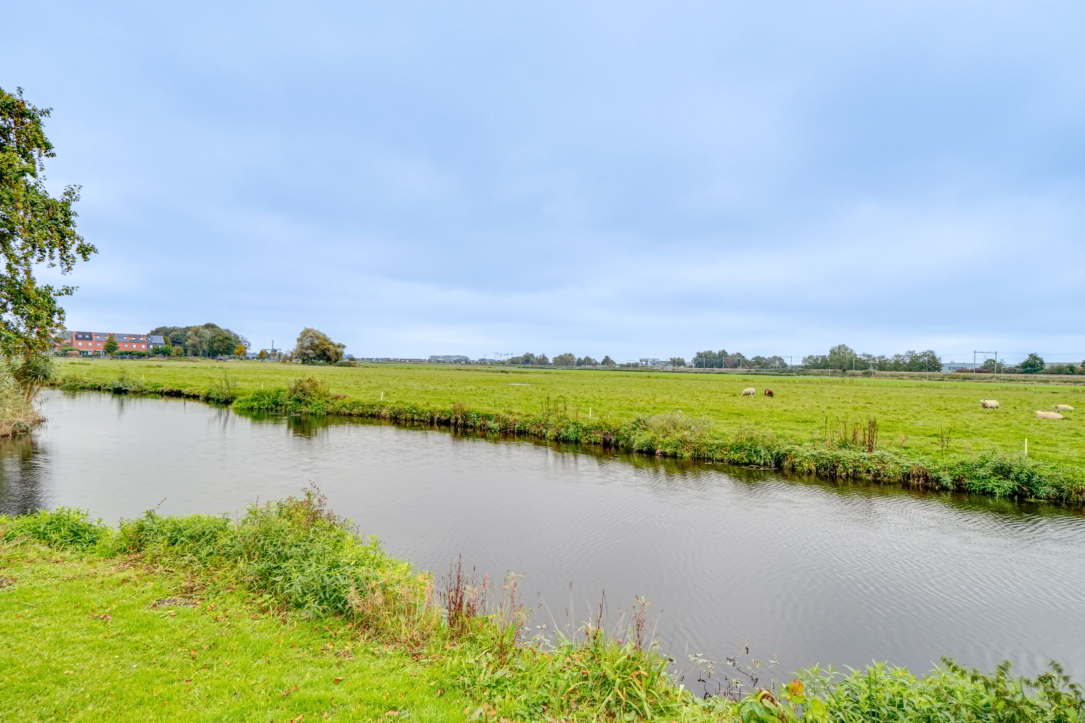 Foto 51 van Ribeslaan 53