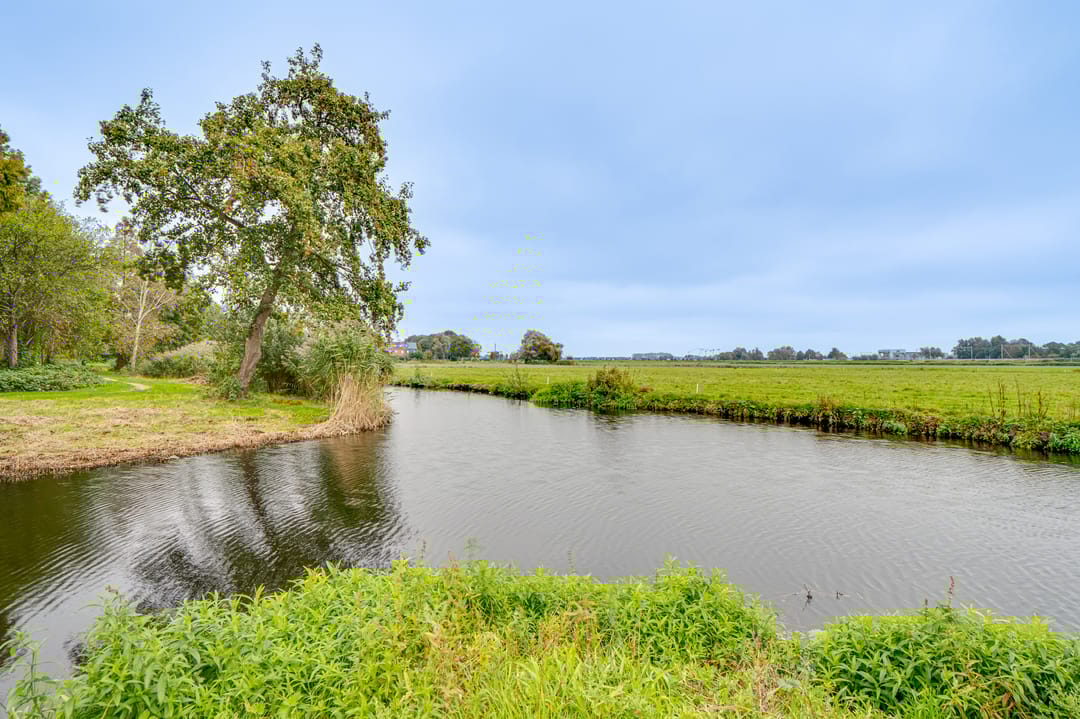 Foto 52 van Ribeslaan 53