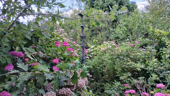 Foto 24 van van Heemstraweg 64-A