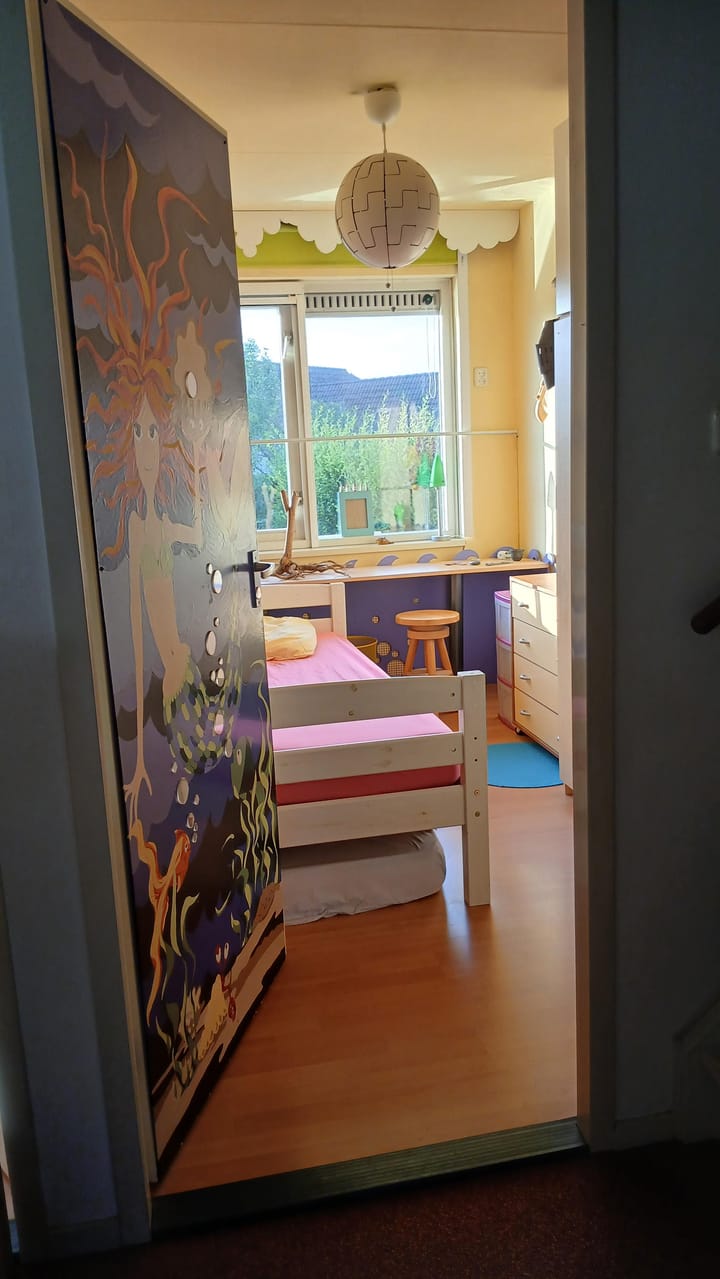 Foto 42 van van Heemstraweg 64-A