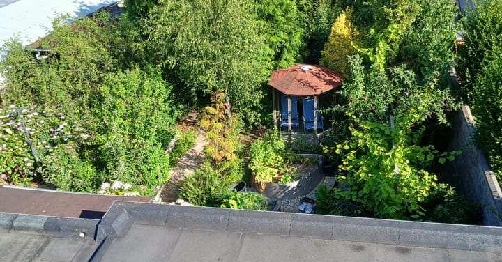 Foto 48 van van Heemstraweg 64-A