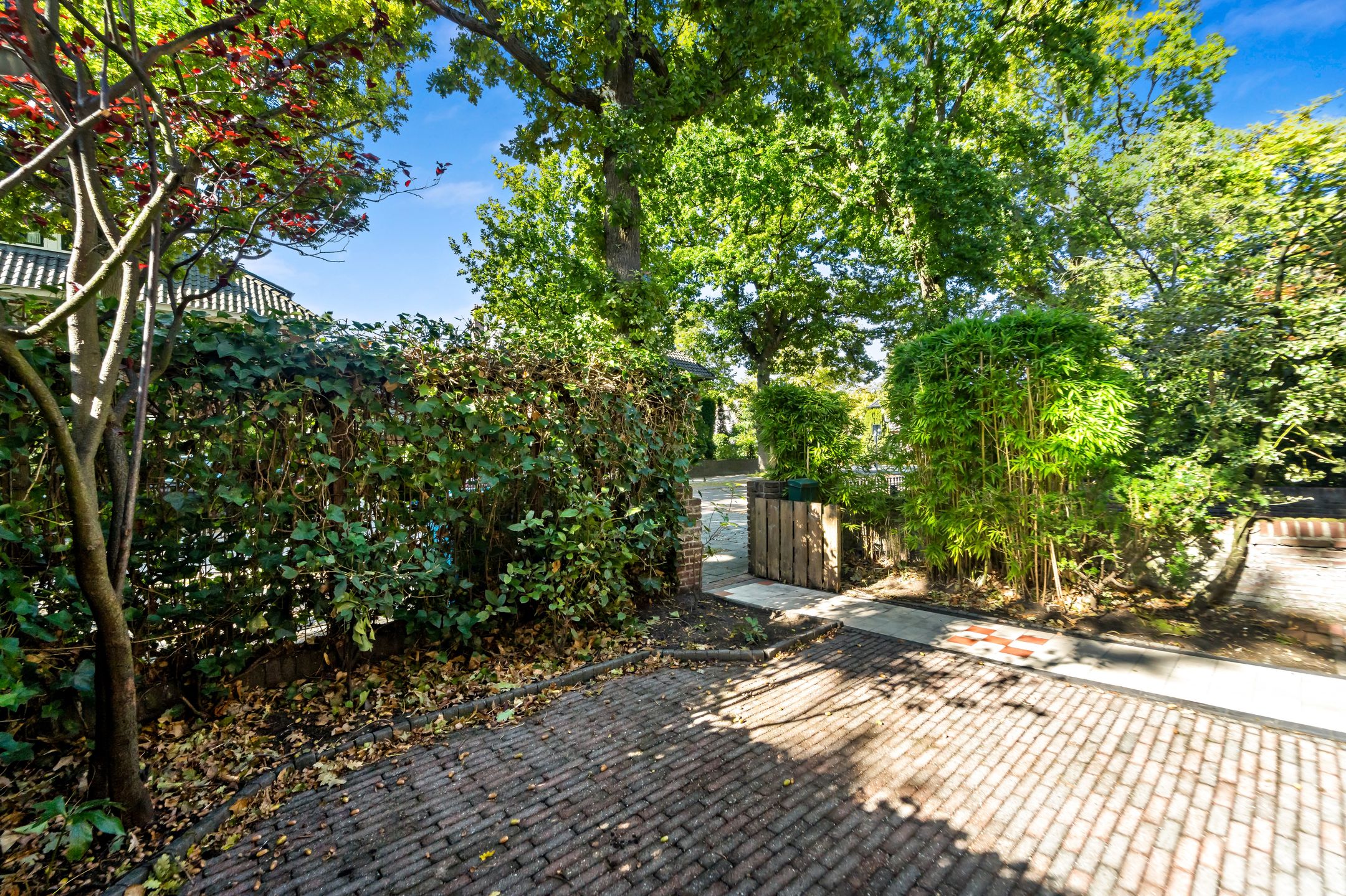 Foto 6 van Groen van Prinstererlaan 41