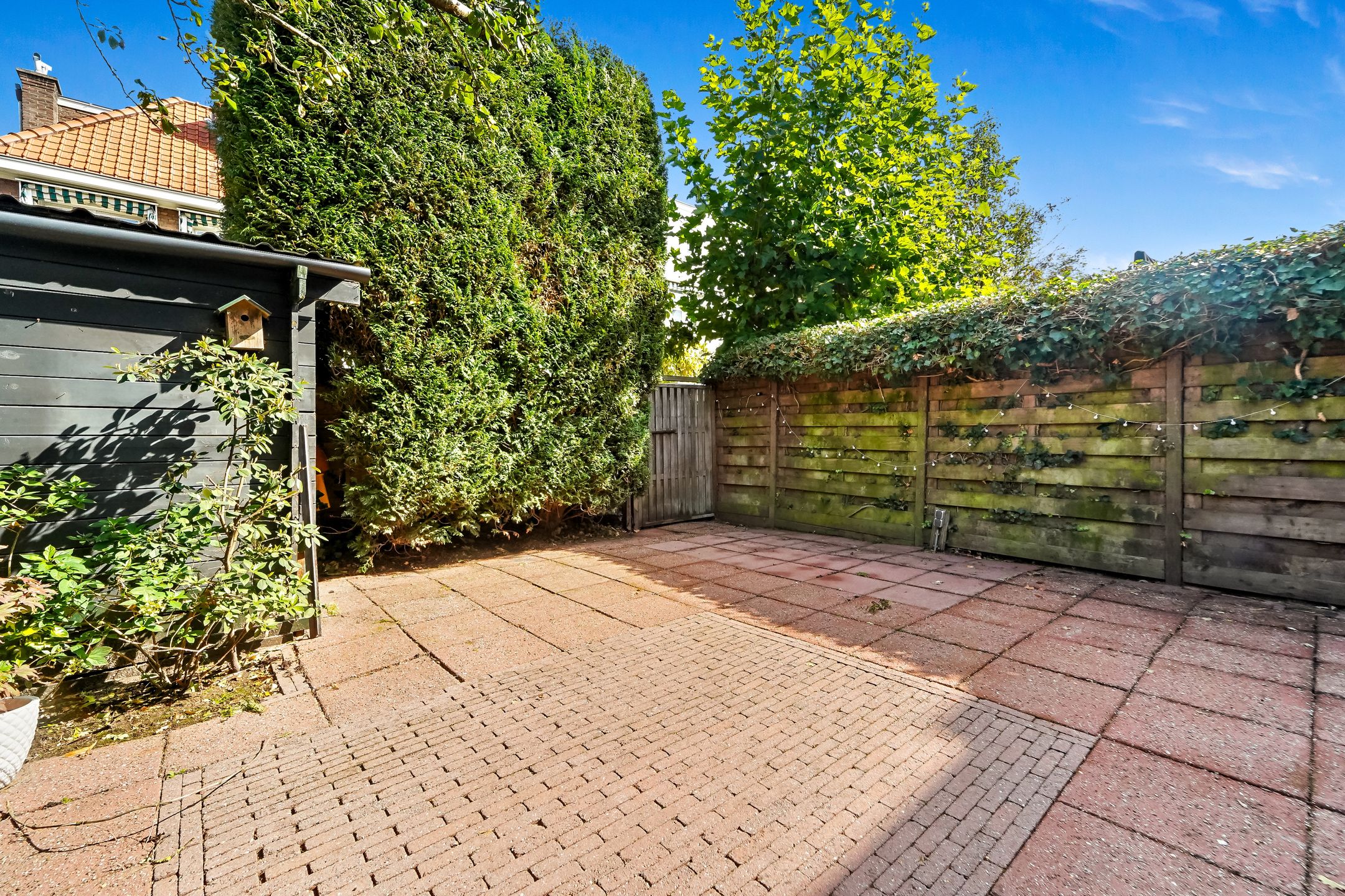 Foto 18 van Groen van Prinstererlaan 41