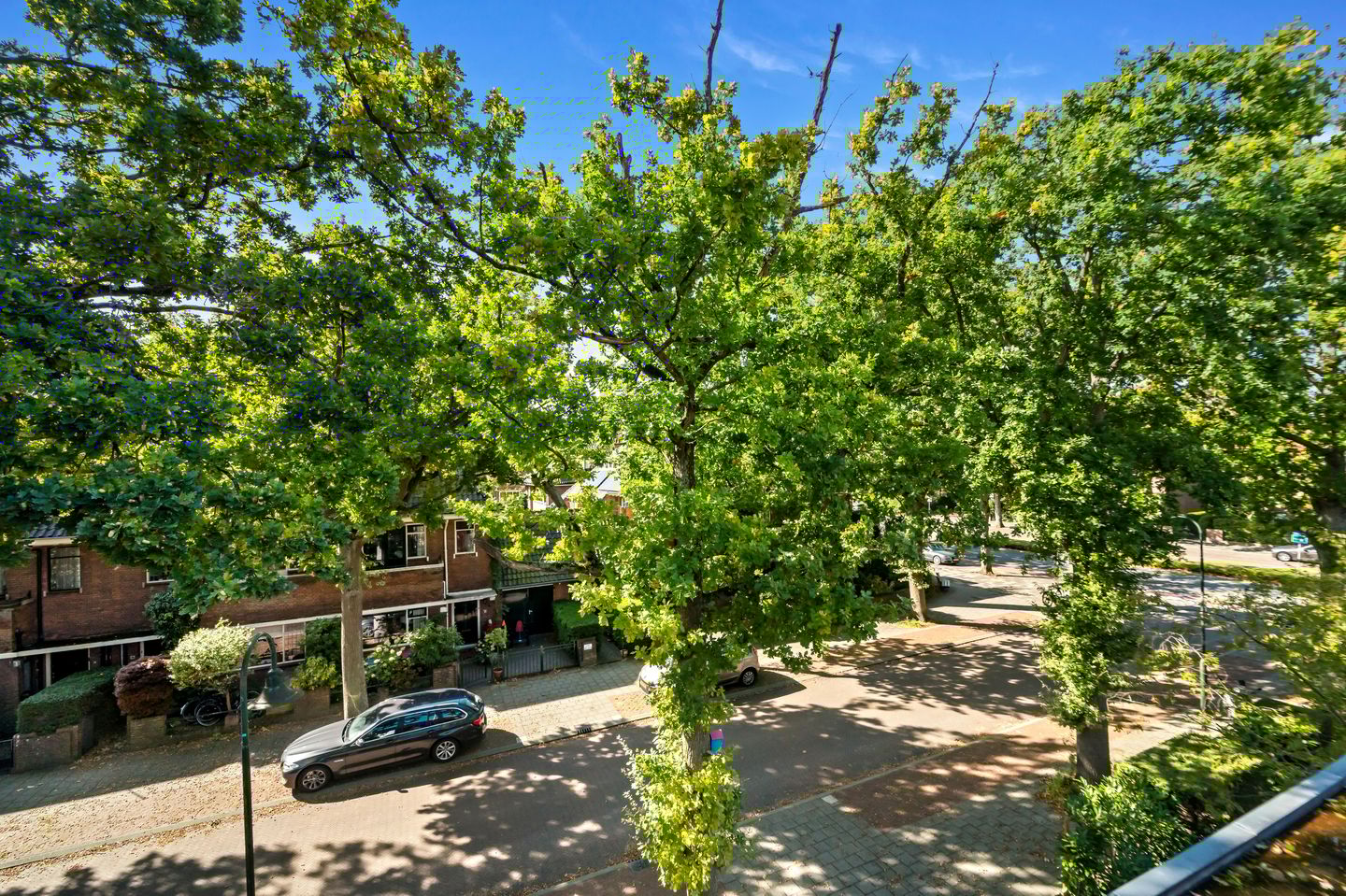 Foto 44 van Groen van Prinstererlaan 41