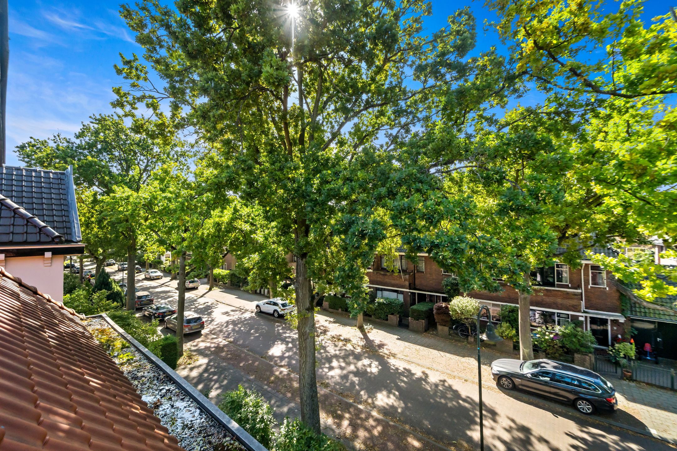 Foto 45 van Groen van Prinstererlaan 41