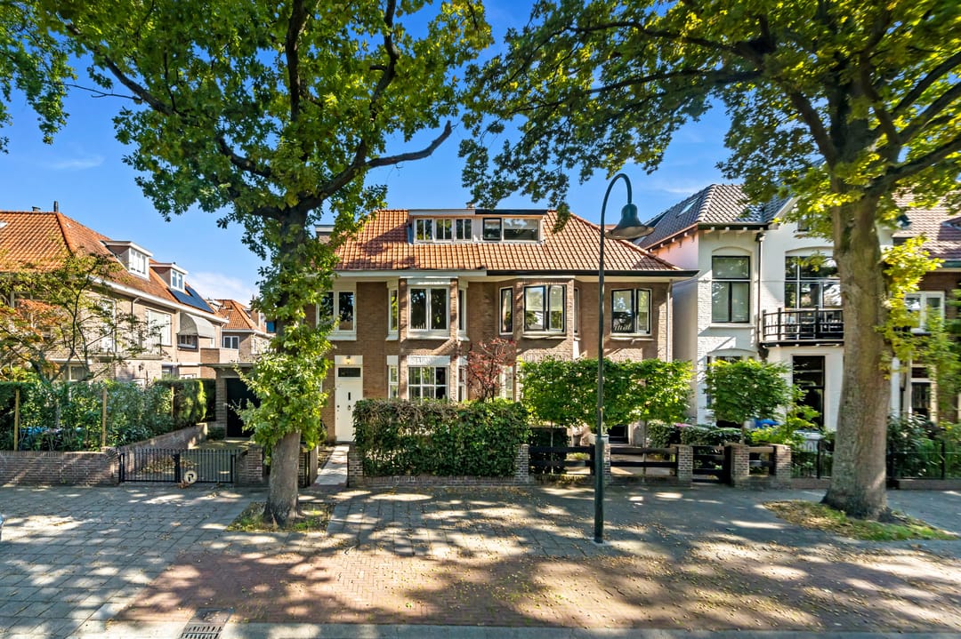 Foto 46 van Groen van Prinstererlaan 41