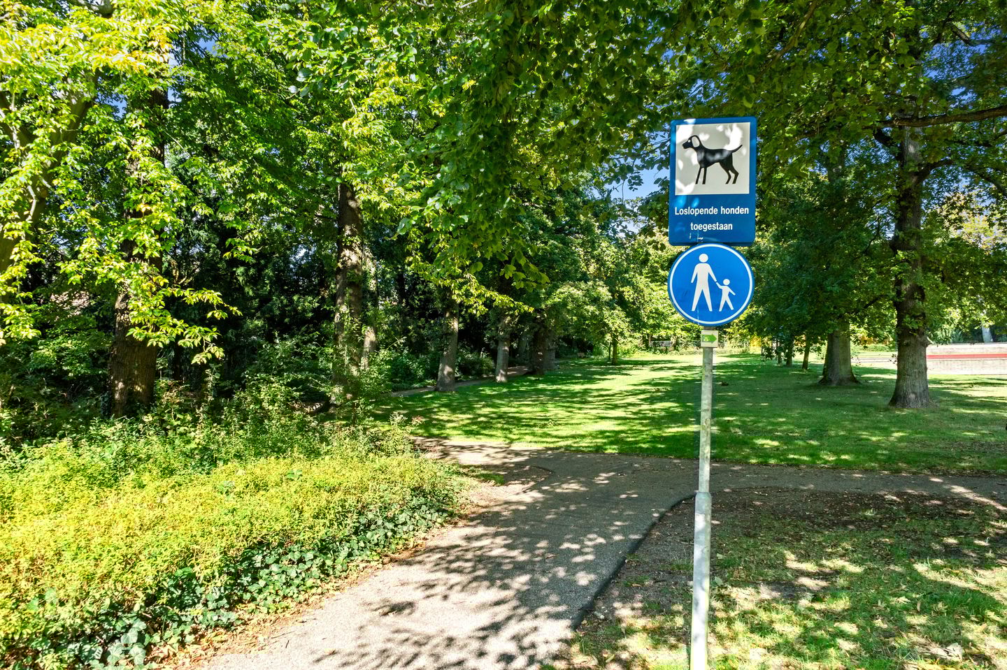 Foto 49 van Groen van Prinstererlaan 41