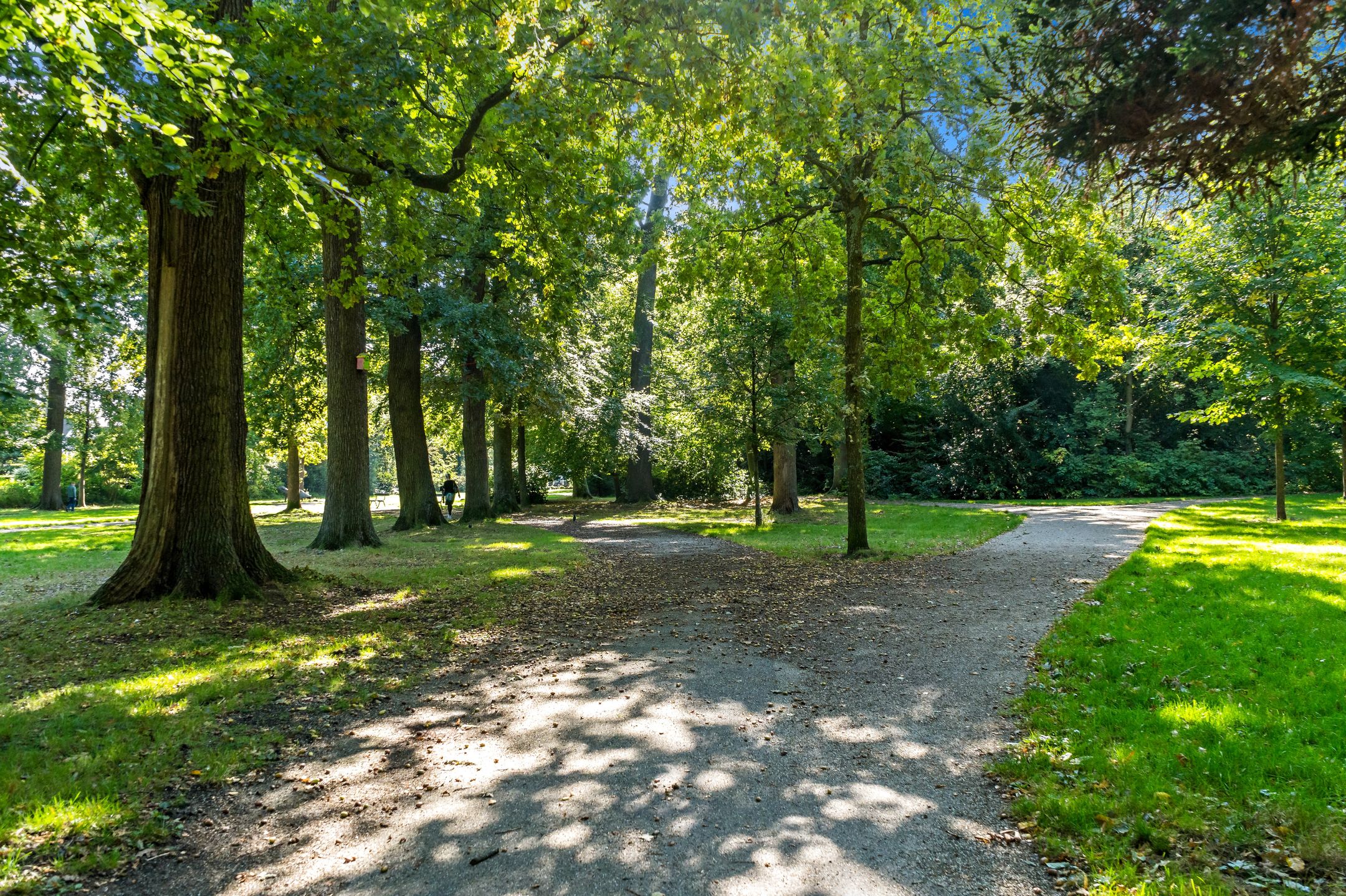 Foto 51 van Groen van Prinstererlaan 41