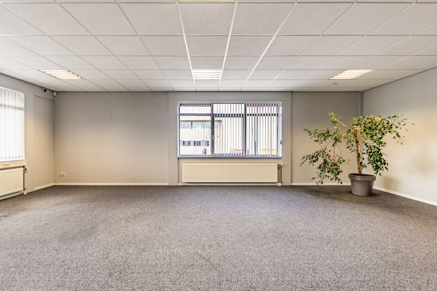 Bekijk foto 5 van Robijnlaan 2-A