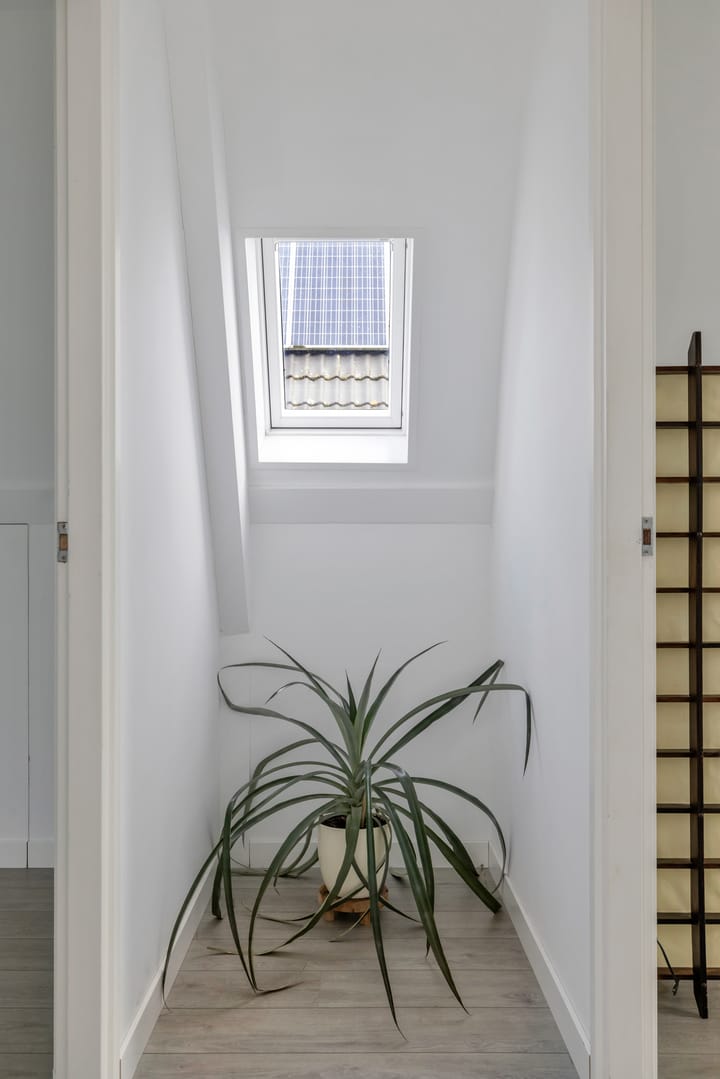 Foto 31 van Paaldijk 48