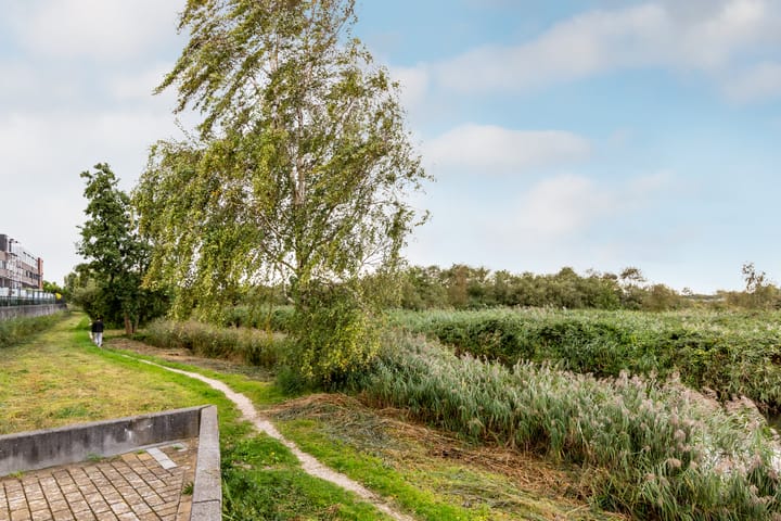 Foto 50 van Amazonelaan 112