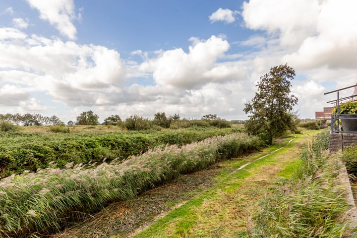 Foto 51 van Amazonelaan 112