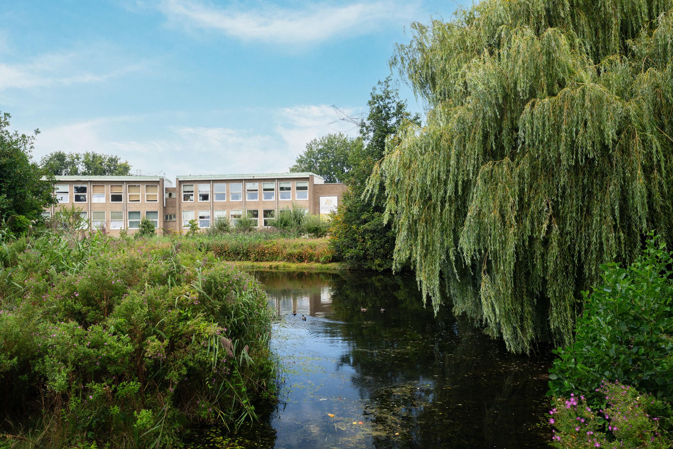 Foto 48 van Frans Halsstraat 88