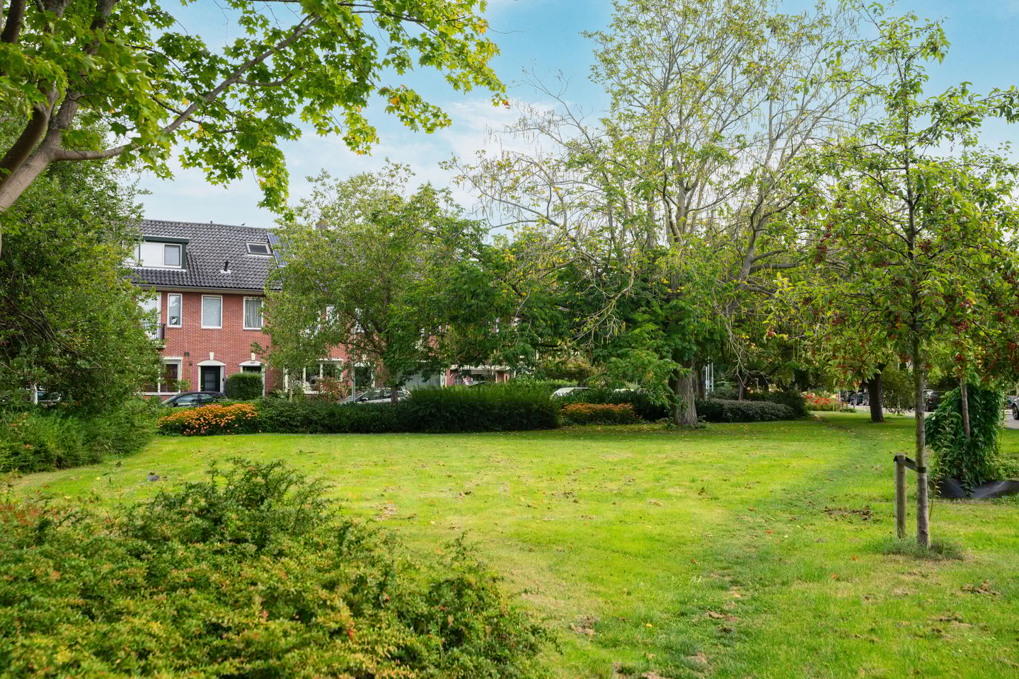 Foto 49 van Frans Halsstraat 88