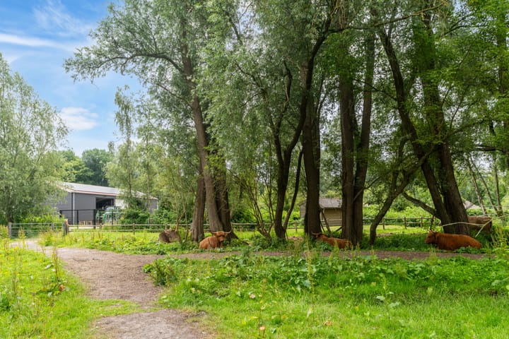 Photo 53 of Frans Halsstraat 88