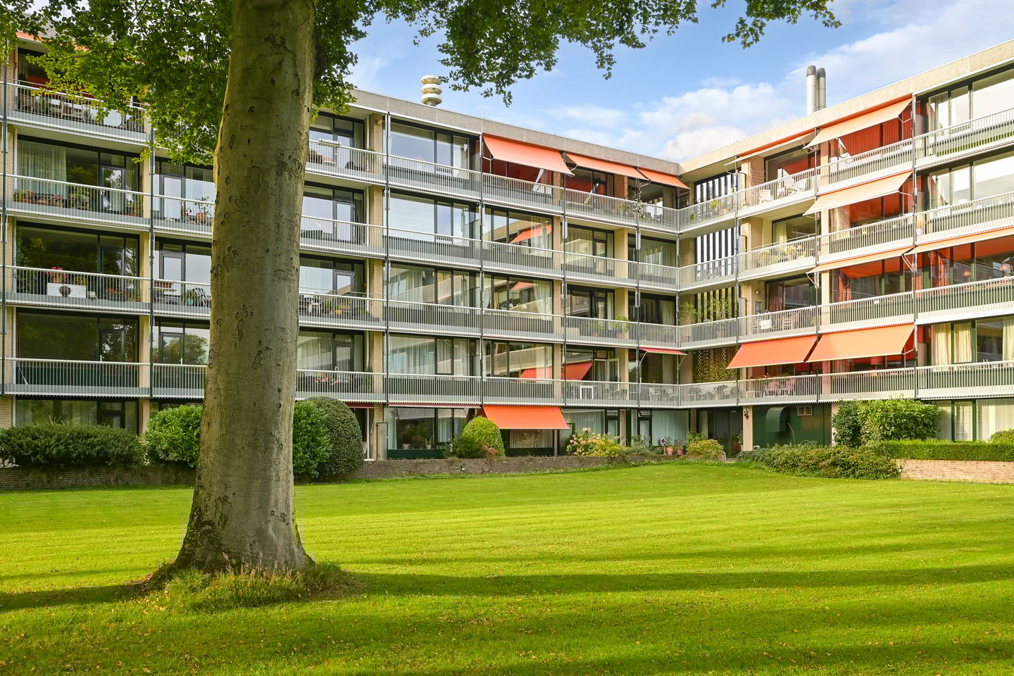 Foto 1 van Stoeplaan 11-F7