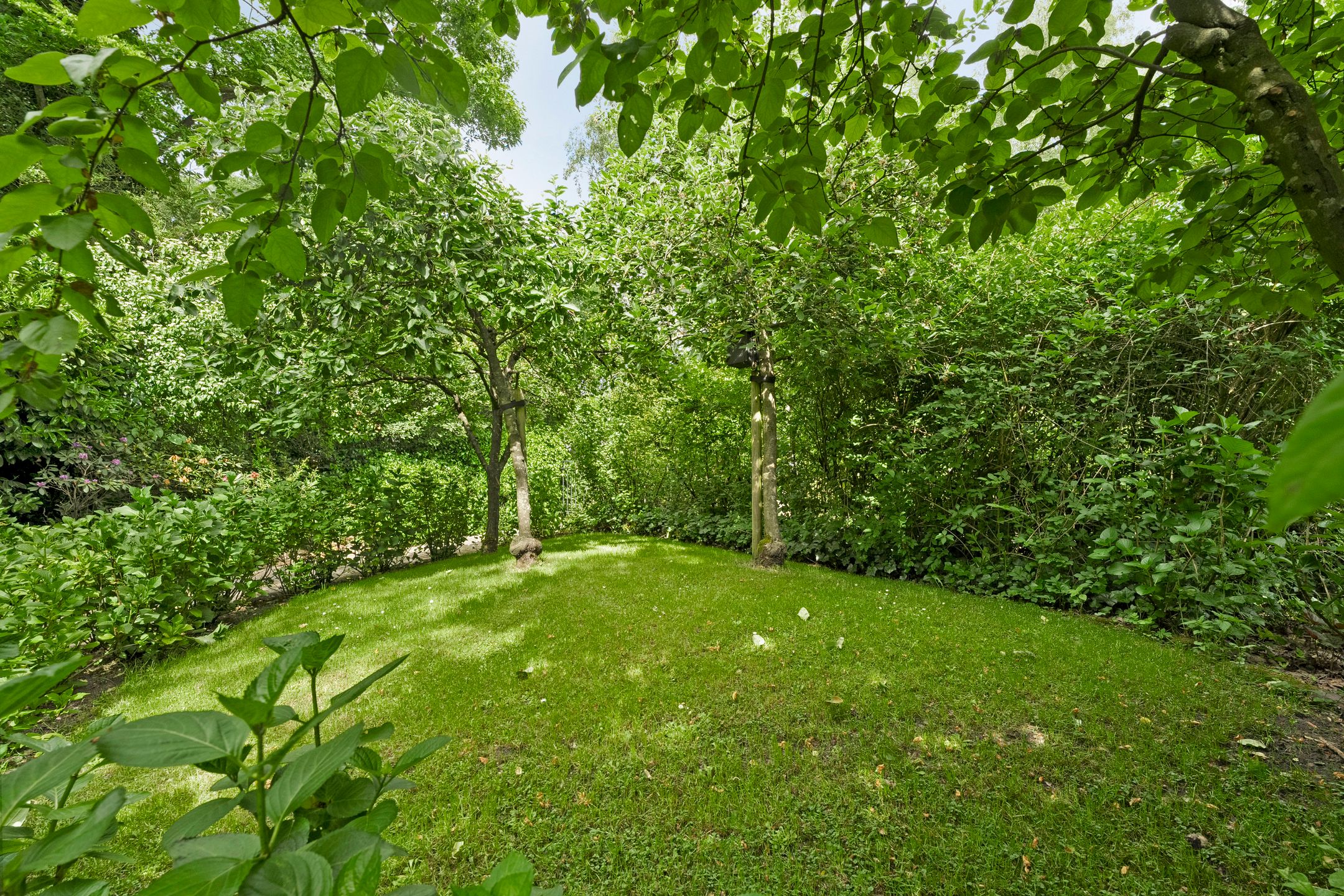 Photo 39 of Gerner Es 12-A