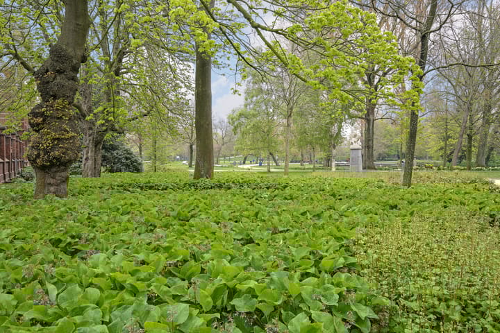 Foto 18 van Van der Hoopstraat 35-3