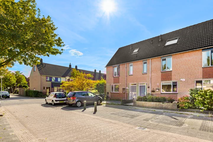 Foto 7 van Schapenland 20