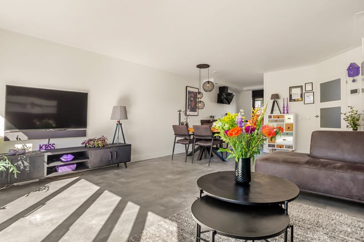 Foto 16 van Schapenland 20