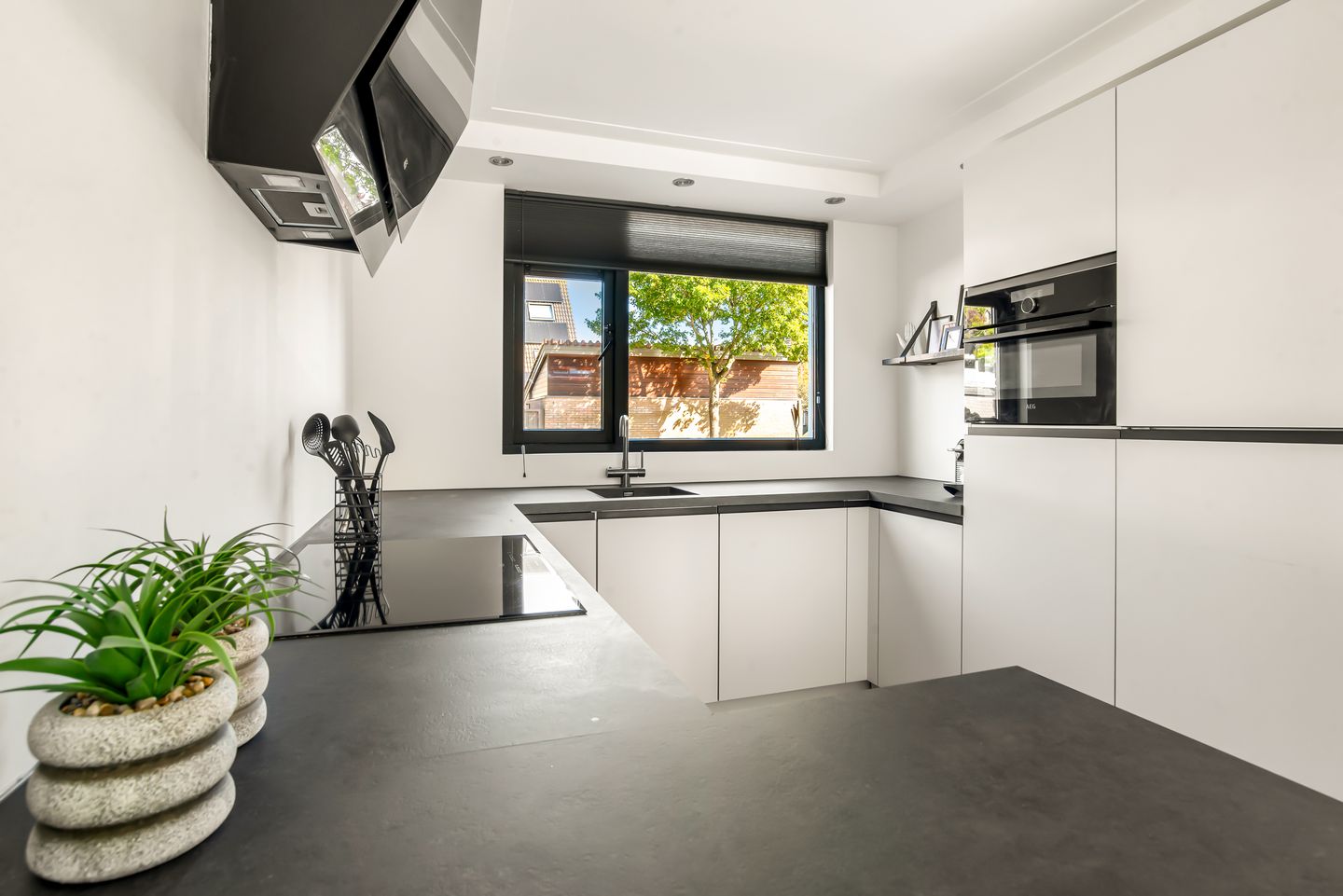 Photo 19 of Schapenland 20