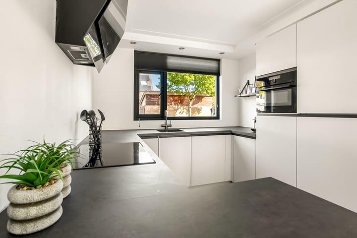 Foto 19 van Schapenland 20