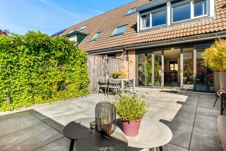 Foto 28 van Schapenland 20