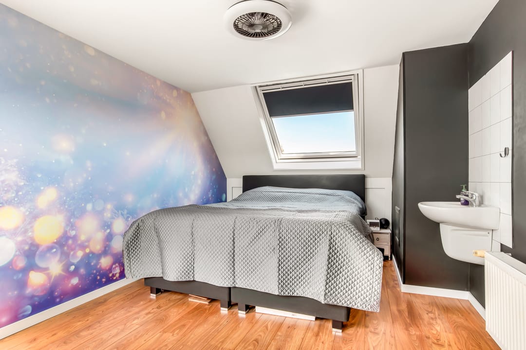 Photo 41 of Schapenland 20