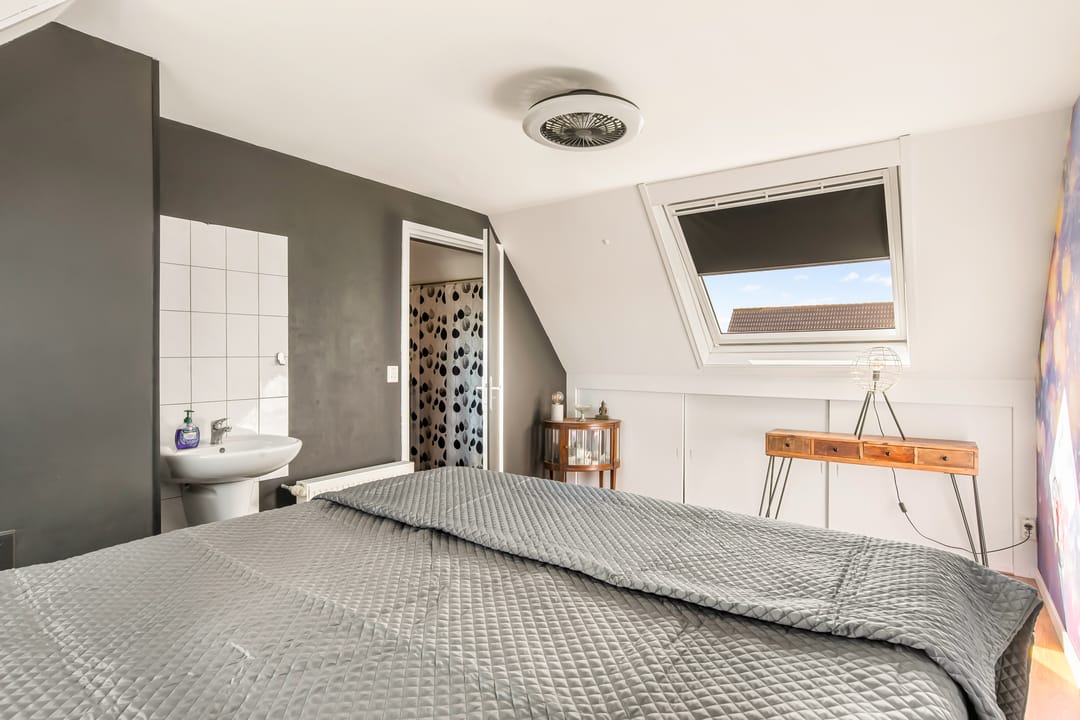 Photo 43 of Schapenland 20