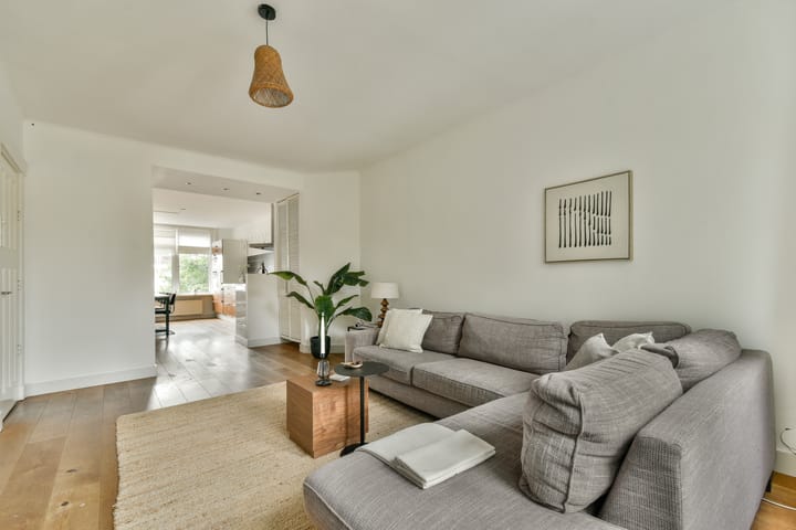 Foto 2 van Van Woustraat 229-3