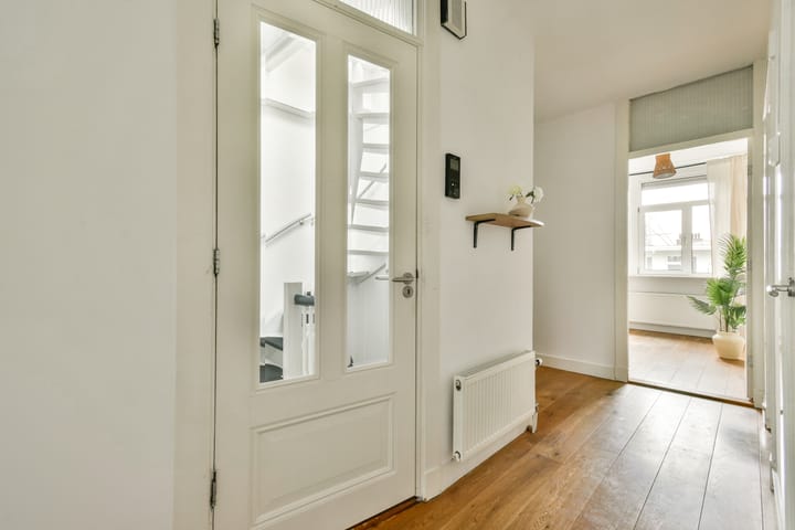 Foto 18 van Van Woustraat 229-3