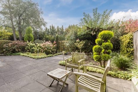 Blauwtjes 150 tertiary image