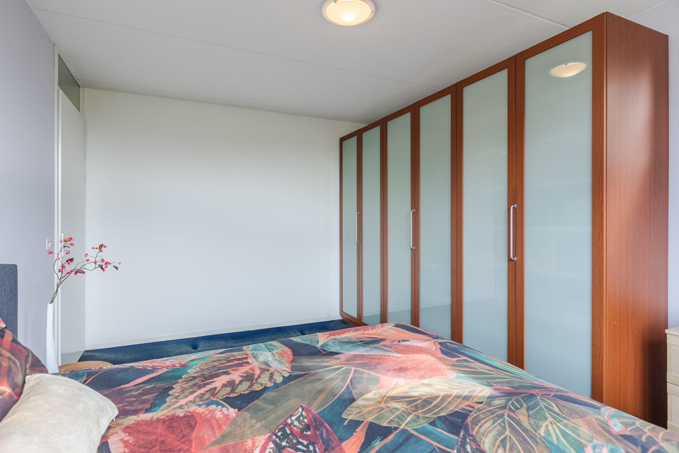 Foto 12 van Blauwtjes 150